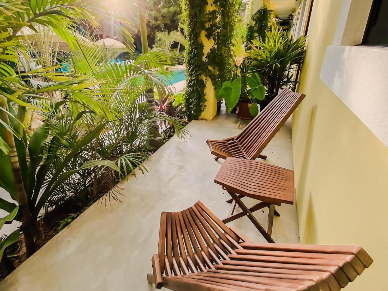 Gallo Azul Hotel, En El Corazon De Todos Santos Luaran gambar
