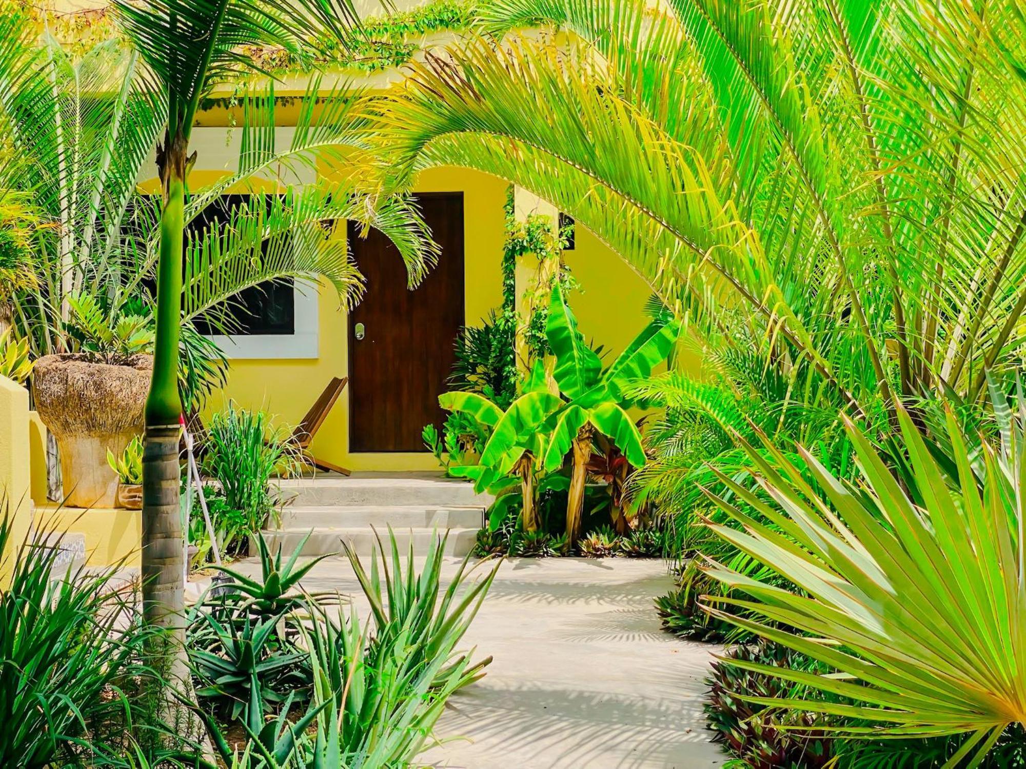 Gallo Azul Hotel, En El Corazon De Todos Santos Luaran gambar