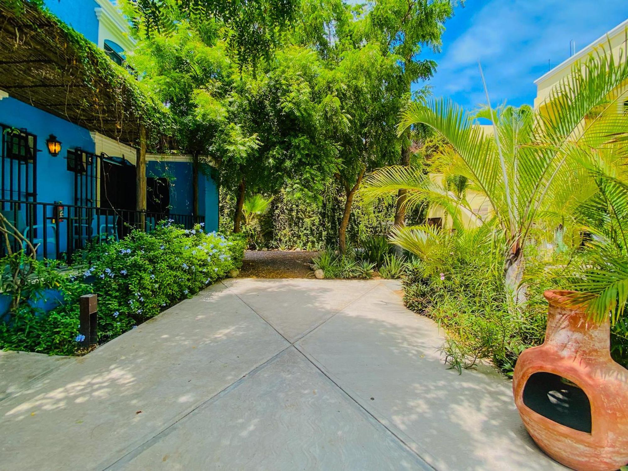 Gallo Azul Hotel, En El Corazon De Todos Santos Luaran gambar
