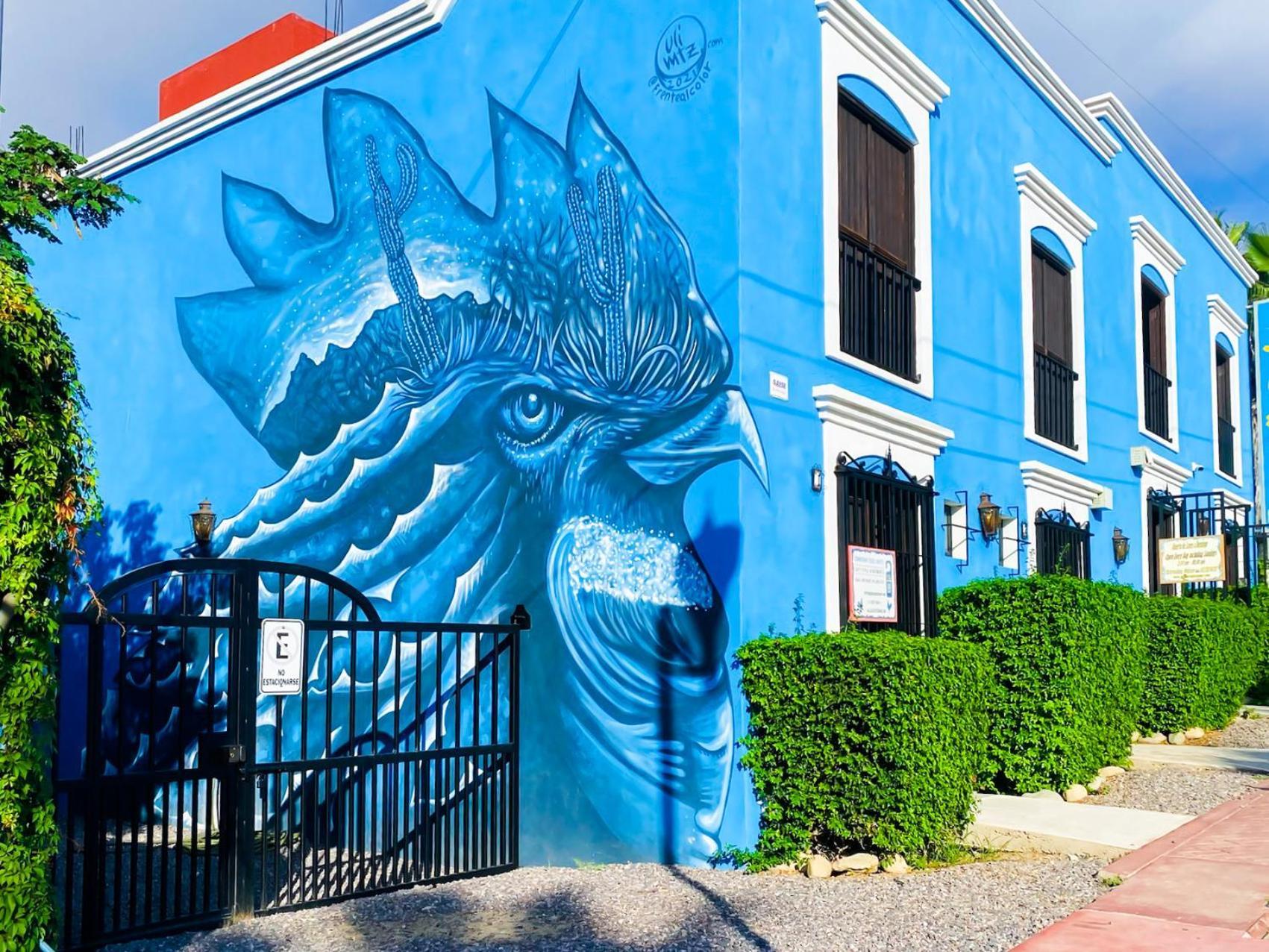 Gallo Azul Hotel, En El Corazon De Todos Santos Luaran gambar