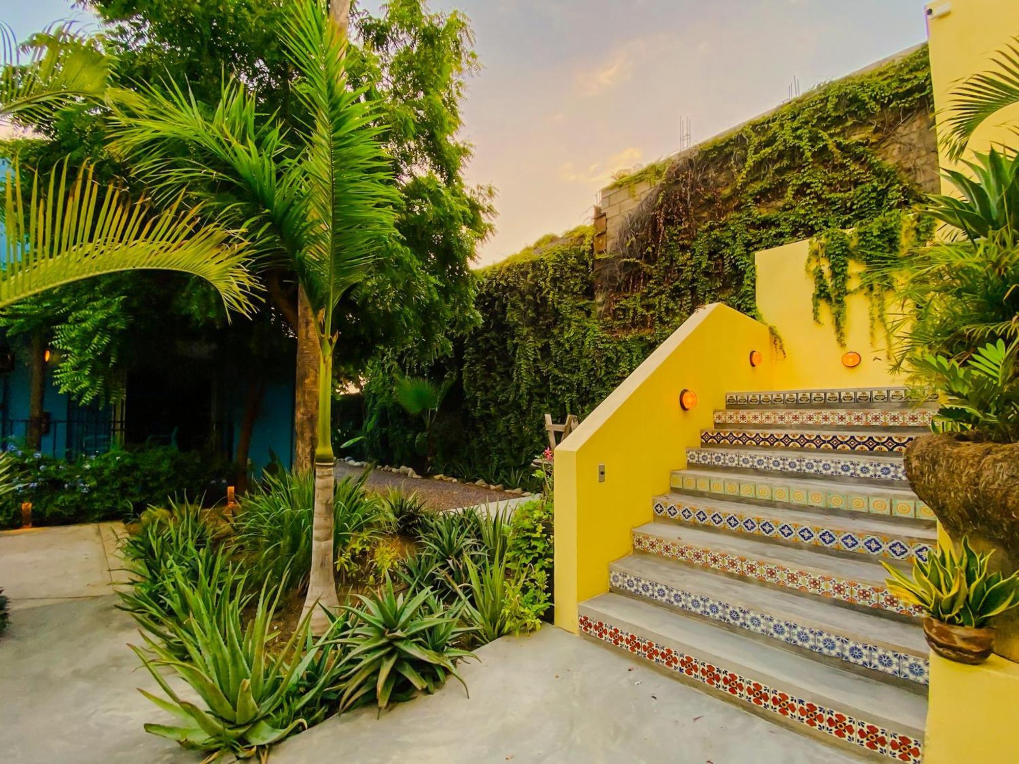 Gallo Azul Hotel, En El Corazon De Todos Santos Luaran gambar
